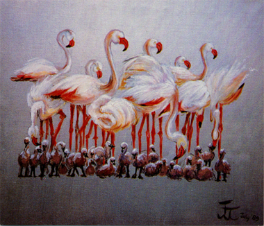 Flamingos