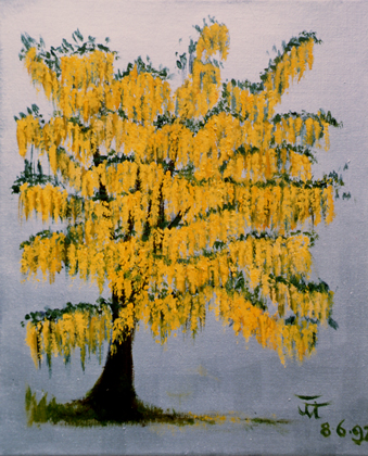 The Laburnum